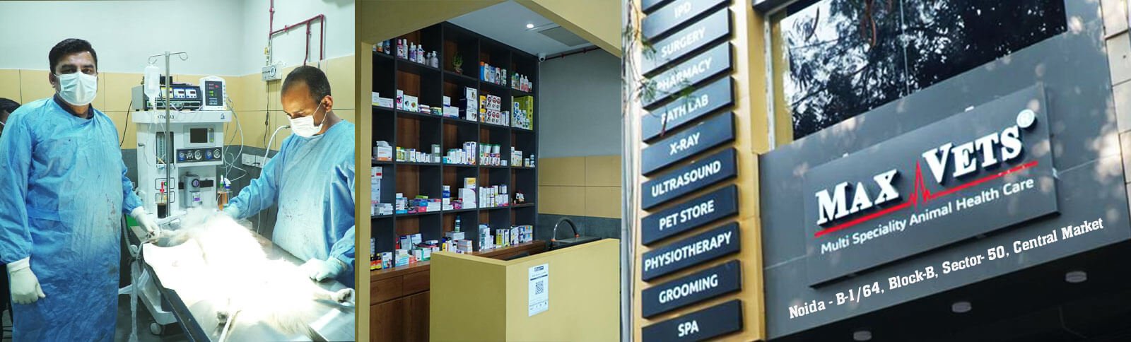 Best Pet Stores, Vets, & Services In Delhi